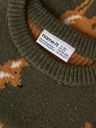 Knaben Pullover Fuchsjacquard 3
