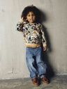 Knaben Sweatshirt Comic Fuchs 4