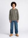 Jungen Sweatshirt mit Print 6