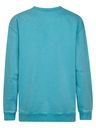 Jungen Sweatshirt einfarbig 2