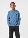 Knaben Langarmshirt mit Print 2