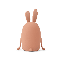 Nachtlicht Hase 2