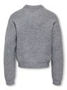 Strickpullover mit Dachshund 2