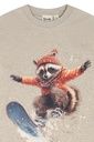 Knaben Langarmshirt Waschbär 3