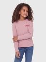 Langarmshirt mit kleinem Druck 5