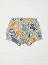 Jungen-Boxershorts Bio-Baumwolle Dinoprint
