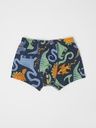Jungen-Boxershorts Bio-Baumwolle Dinoprint
