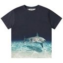 Knaben T-Shirt mit Haifisch
