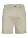 Chino Shorts