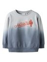 Sweatshirt mit Farbverlauf und Druck