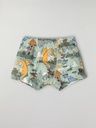 Knaben Boxershorts mit Drachenprint