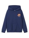 Knaben Hoodie mit Hunddruck