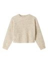 Kurzer Strickpullover Rundhals