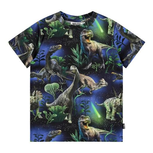 [01-36303.0] Knaben T-Shirt mit Dino-Fotodruck (128)
