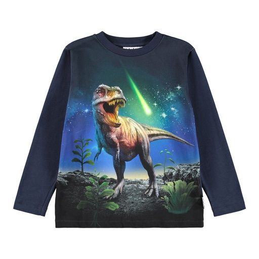 [01-36307.0] Knaben Langarmshirt mit Dino-Fotoprint (122)