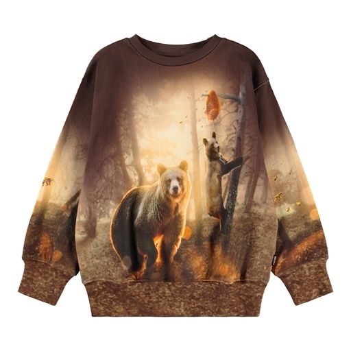 [01-36313.0] Knaben Sweatshirt mit Braunbären (122)