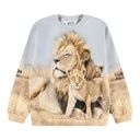 Knaben Sweatshirt mit Löwenmotiv