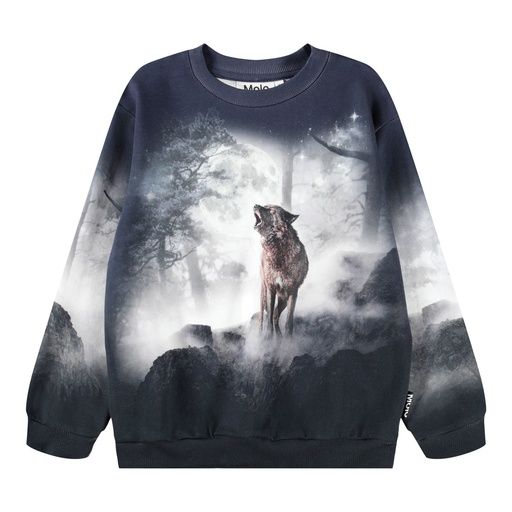 [01-36315.0] Knaben Sweatshirt mit Wolfs-Motiv (110)