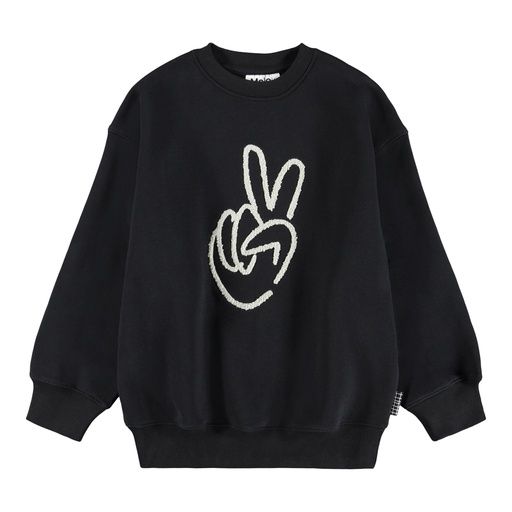[01-36321.11] Knaben Sweatshirt Bio-Baumwolle (Schwarz, 164)