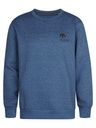 Knaben Sweatshirt mit kleinem Brustdruck
