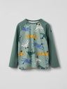 Knaben Langarmshirt mit Dalmatiner