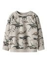 Knaben Sweatshirt Dinos