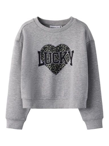 [01-37274.1] Mädchen Sweatshirt mit Brustdruck (Grau, 158-164)