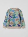 Jungen Pullover mit Dino-Print