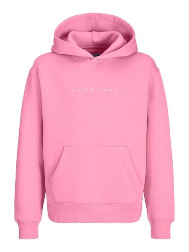 [01-37456.0] Hoodie mit schlichtem Druck (Pink, 128)