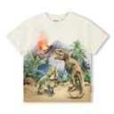 Knaben T-Shirt mit Dino Druck