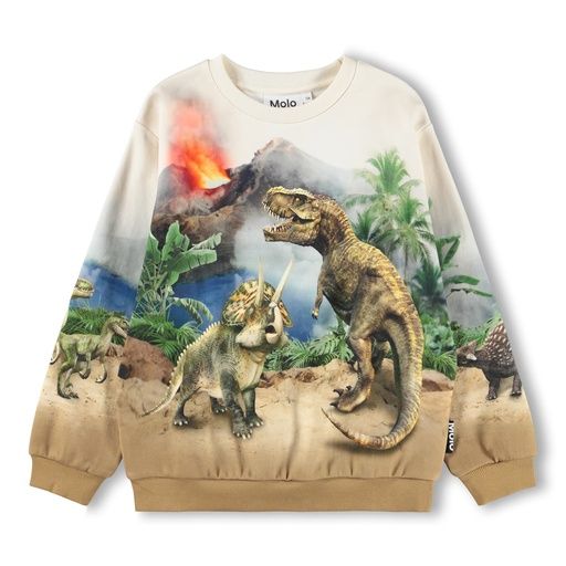 [01-37618.0] Jungen Sweater mit Dinos (110)