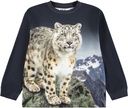 Knaben Langarmshirt mit Schneeleo-Print