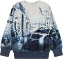 Jungen Sweatshirt mit Stadt-Hunde-Motiv