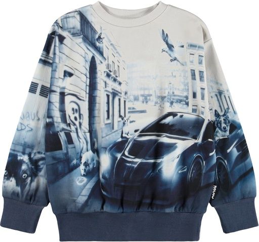 [01-38301.3] Jungen Sweatshirt mit Stadt-Hunde-Motiv (122)