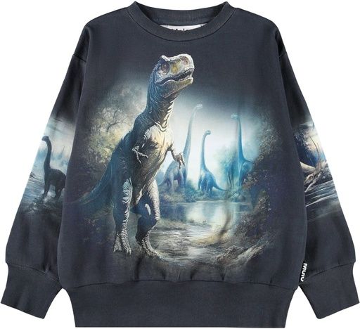 [01-38302.0] Jungen Sweatshirt mit Dino-Print (122)