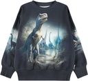 Jungen Sweatshirt mit Dino-Print