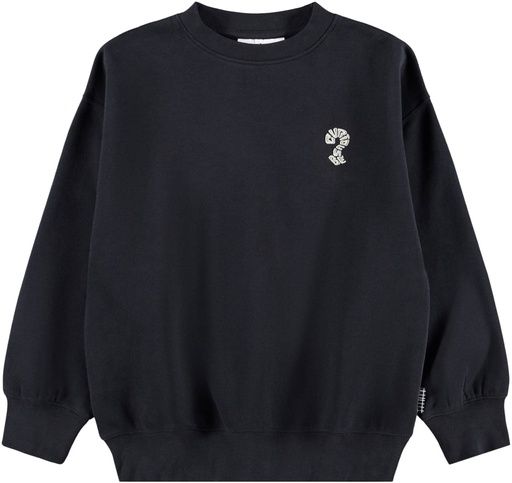 [01-38303.2] Jungen Sweatshirt mit Rückenschriftzug (140)