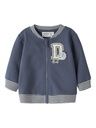 Baby Sweatjacke mit Dino Applikation
