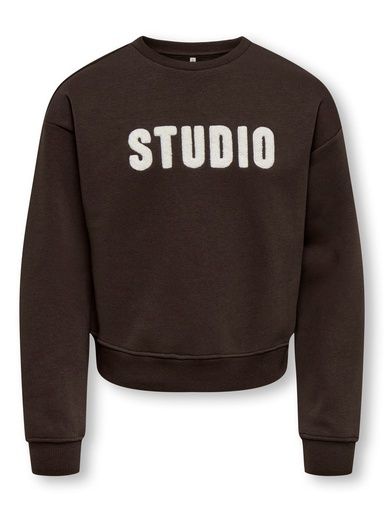 [01-38732.1] Sweatshirt mit Teddy Applikation (146-152)