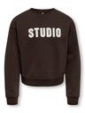 Sweatshirt mit Teddy Applikation