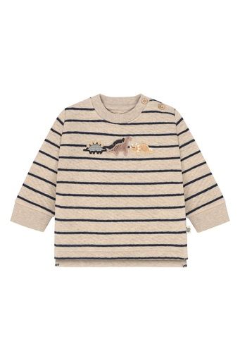 [01-39221.1] Sweatshirt gestreift Dino (62)